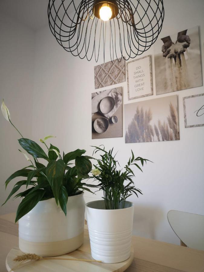 Apartamento Suite Arco De La Villa,Solo Familia Y Parejas,Parking Gratuito Conil De La Frontera Buitenkant foto